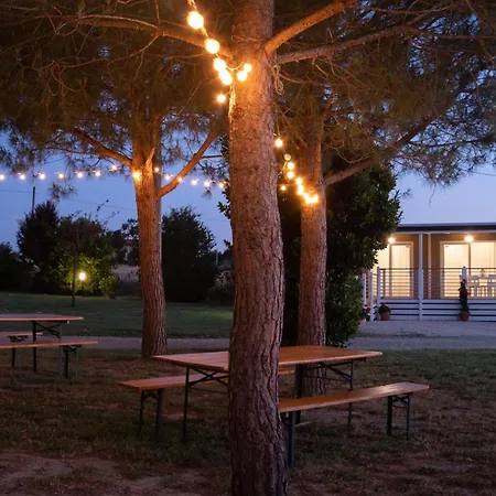 Camping Mobile Margherita Agricamping Spineta Cortone